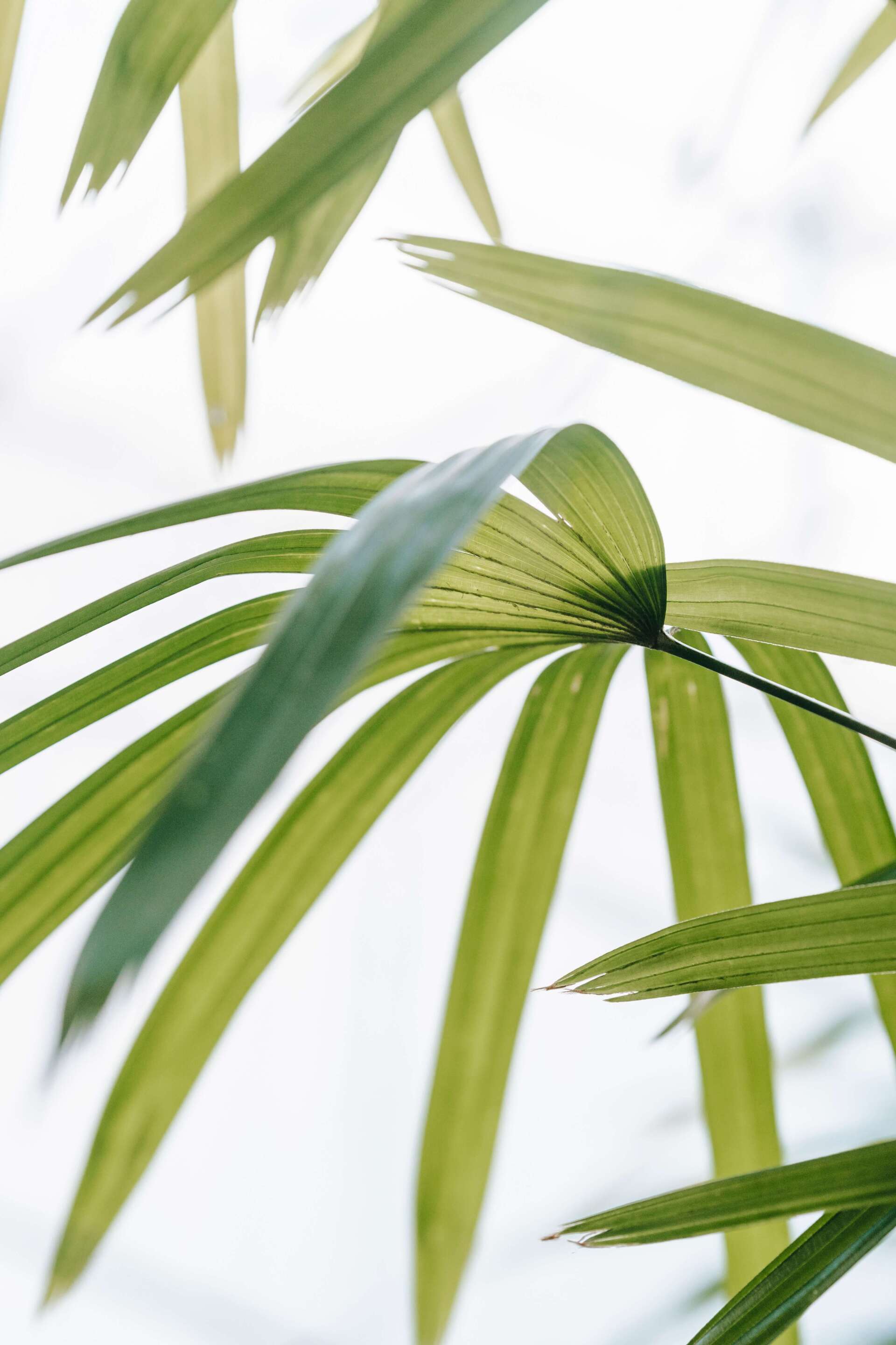 Rédaction web spécialisée écologie et environnement