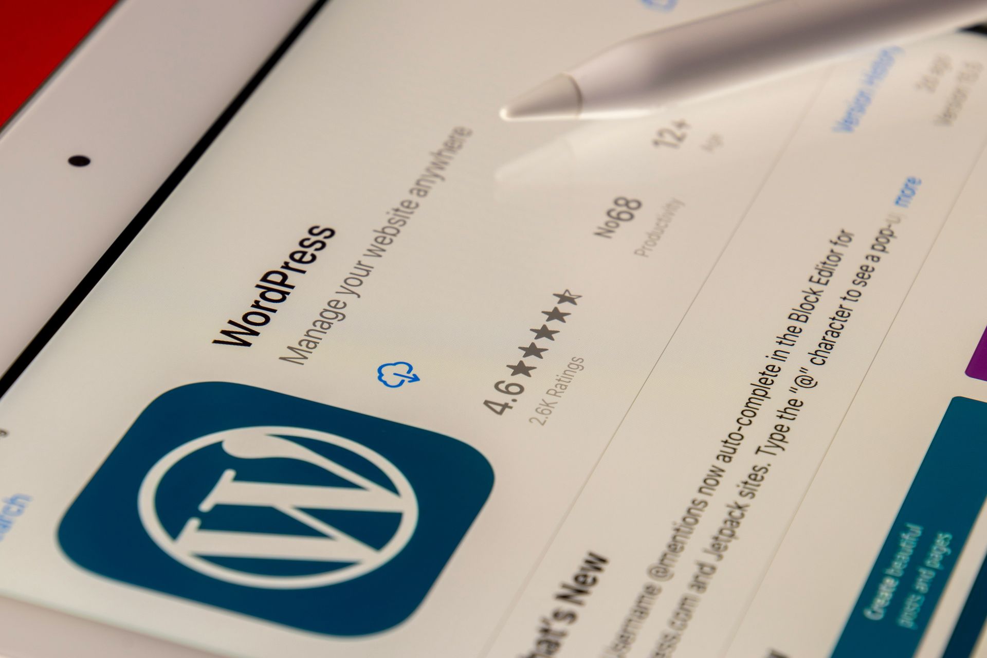 Création de cms wordpress