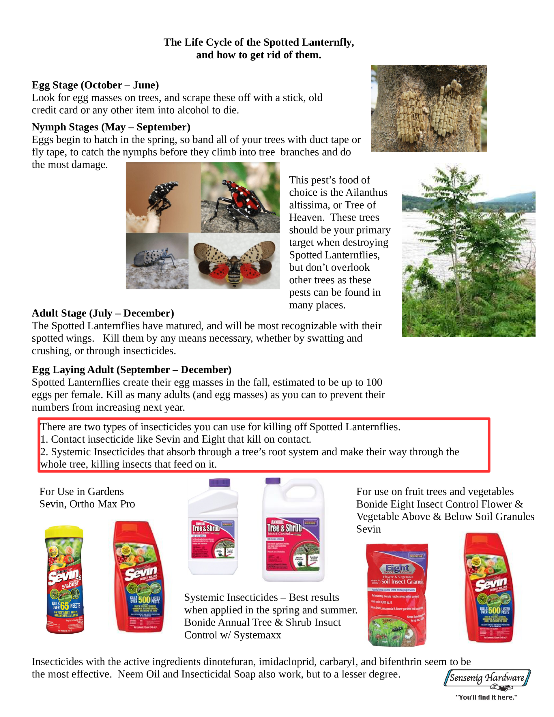 How to get rid of spotted lanternflies