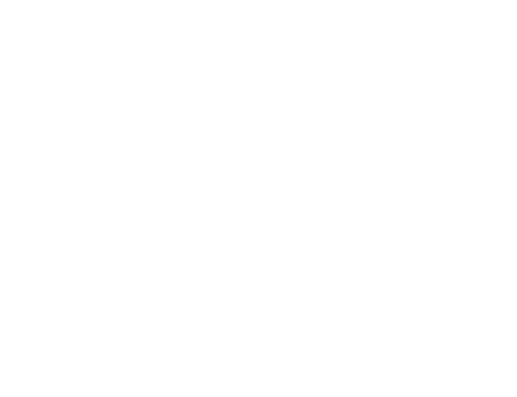 AC Sports Carryboard Golfboard Eskateboard