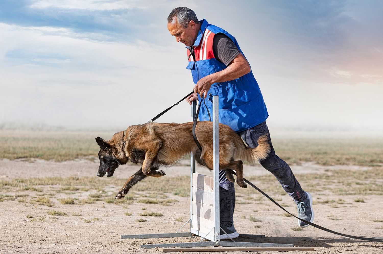 Dog Handling Security