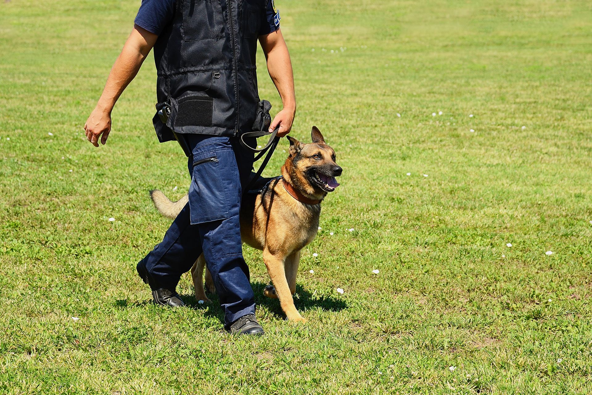 K9 security officers