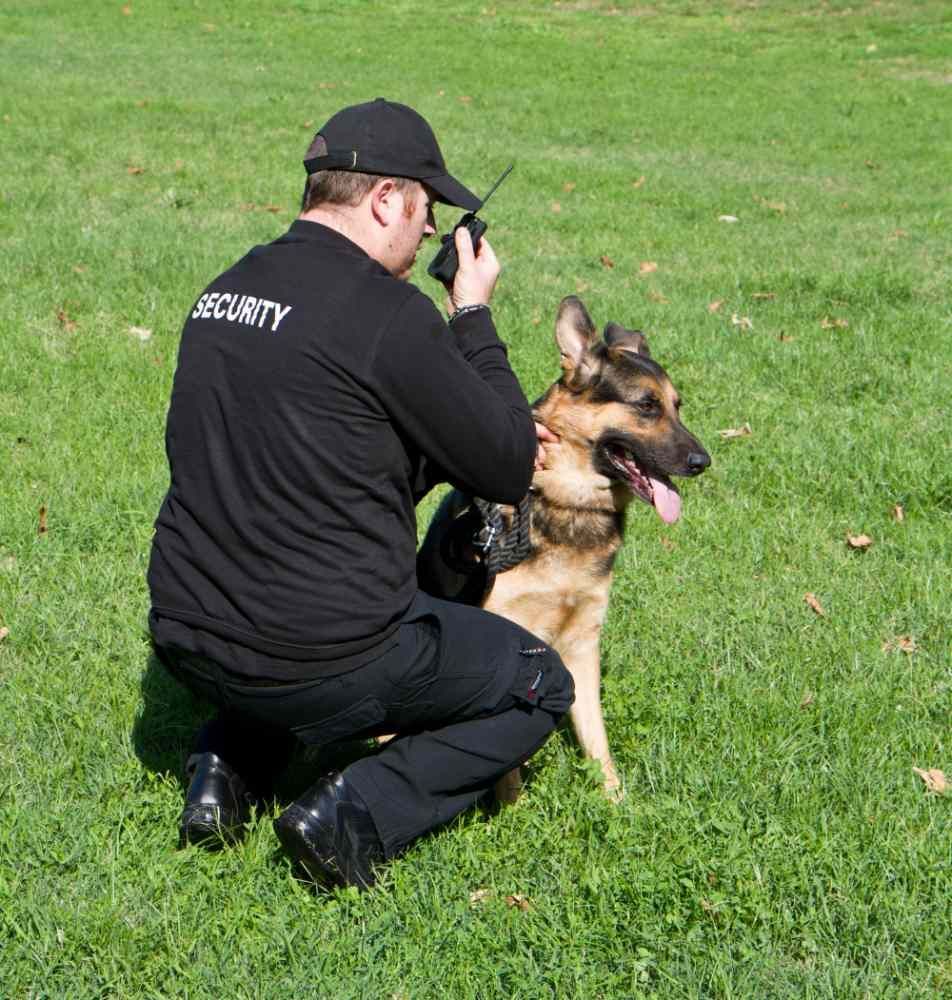 Security Patrol Services