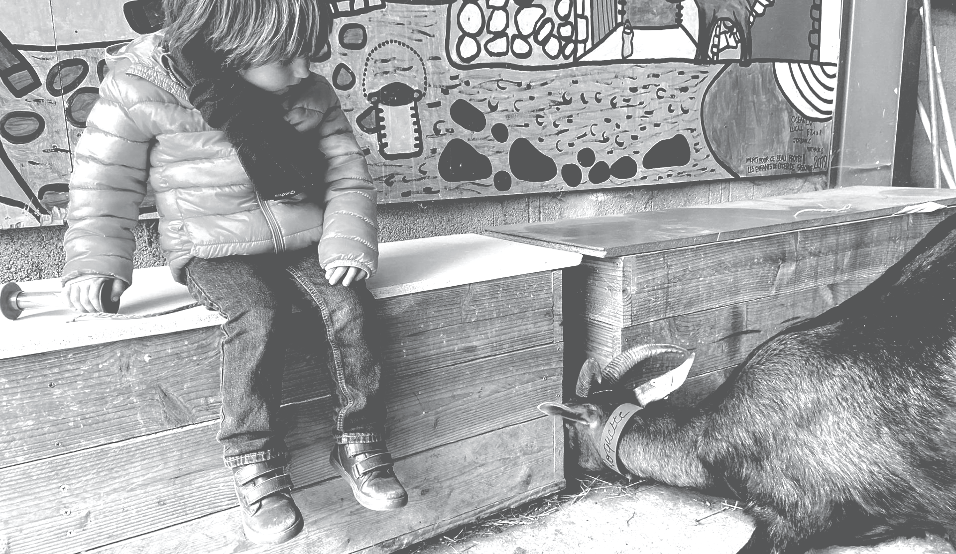 mariam tribouilloy educatrice spécialisée tsa autisme tdah dys chalon sur saone 71 bourgogne