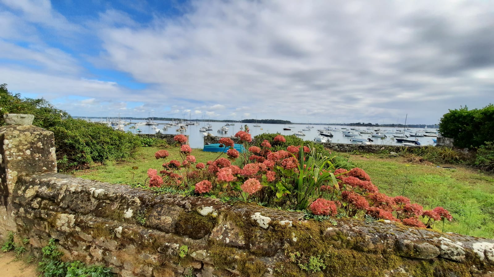 Livre d'or, témoignages