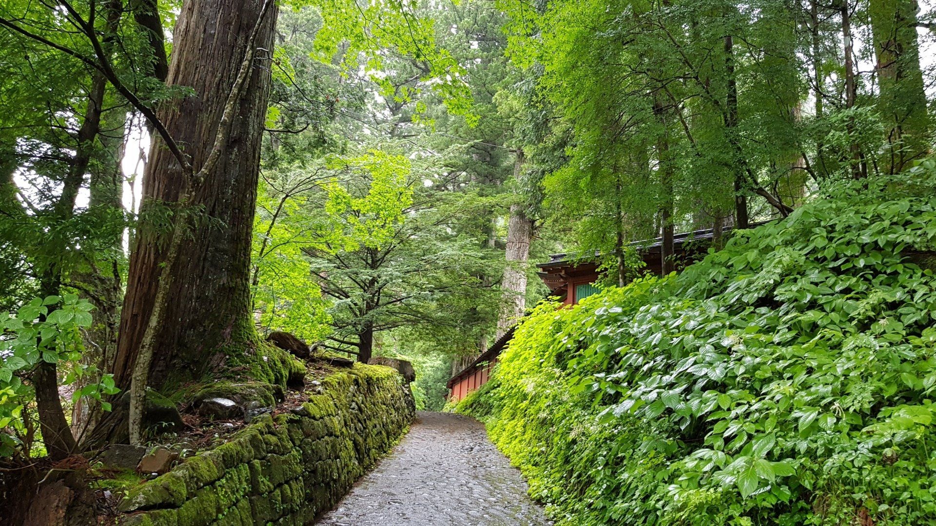 Nikko; Japan-Rundreise; Japan-Gruppenreise; Japan-Studienreise; www.japan-tours.de