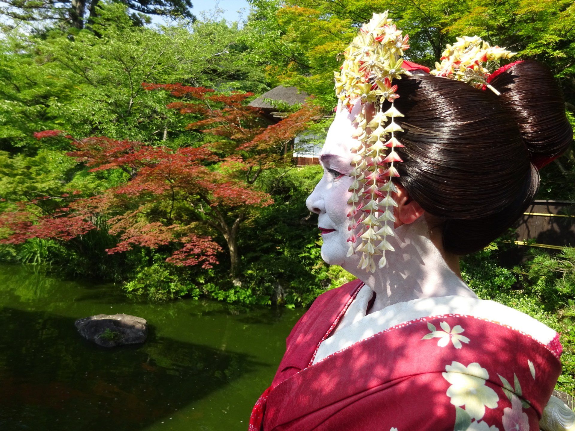 Maiko; Geisha; Angela Klose; Japan-Reise; Japan-Rundreise; Japan-Gruppenreise; Japan-Bahnreise;  Japan billig; www.japan-tours.de