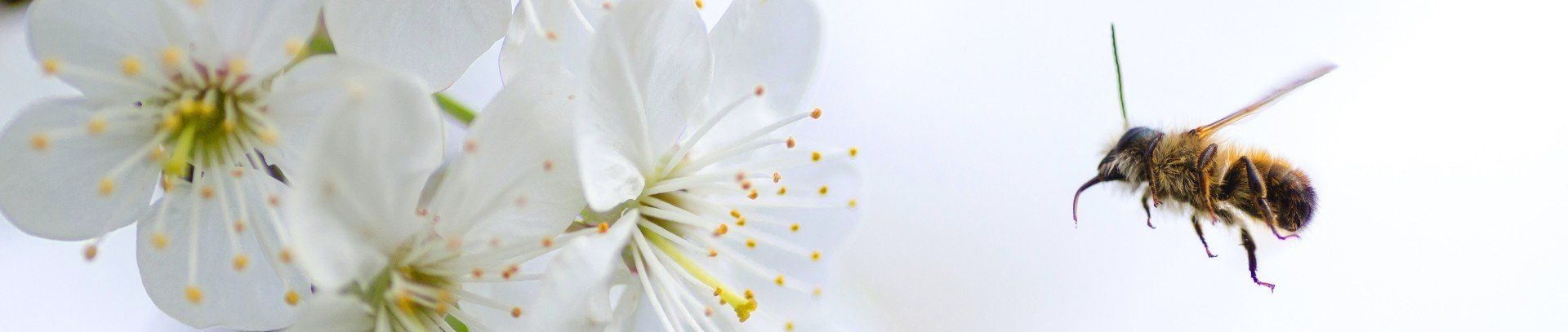 LEKTORAT ARMBRUSTER findet traumhafte Tippfehler