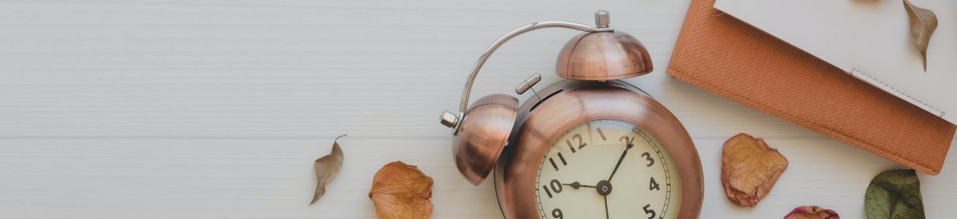 LEKTORAT ARMBRUSTER findet schräge Redensarten