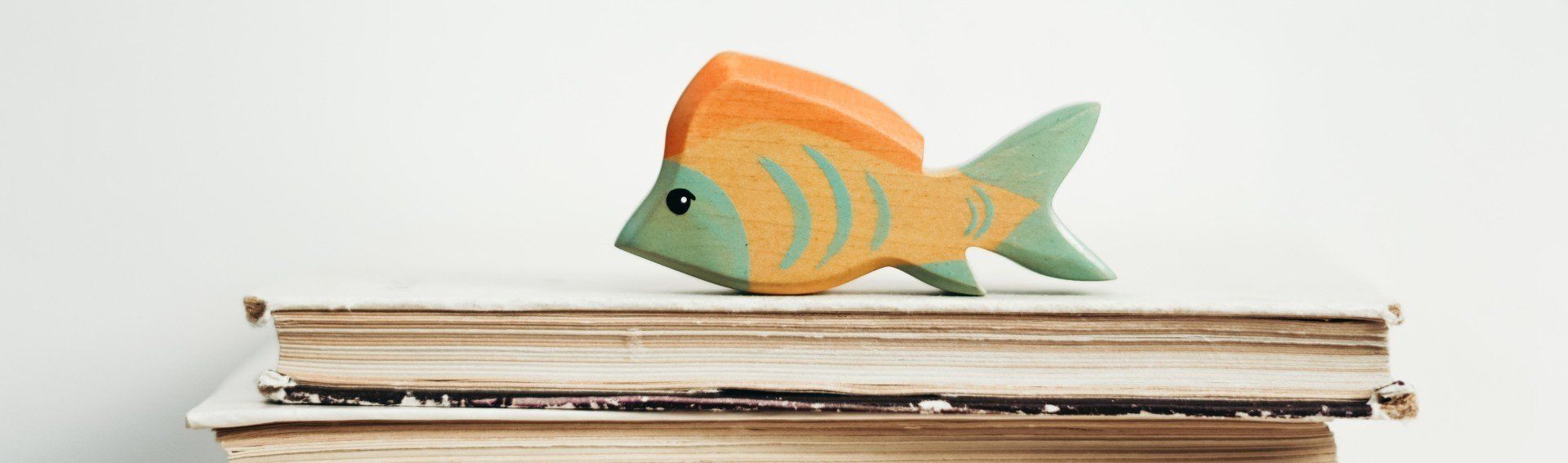 LEKTORAT ARMBRUSTER findet zauberhafte Stilblüten