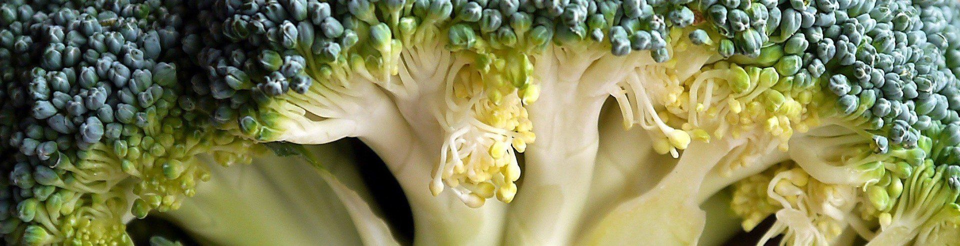 LEKTORAT ARMBRUSTER findet beliebte Buchstabendreher