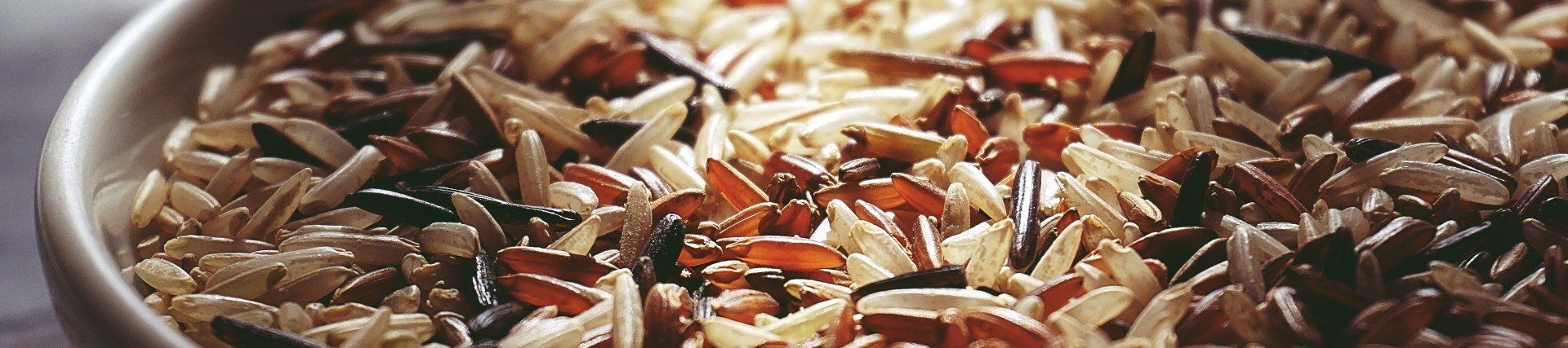 LEKTORAT ARMBRUSTER unterscheidet Tippfehler von Schreibfehlern