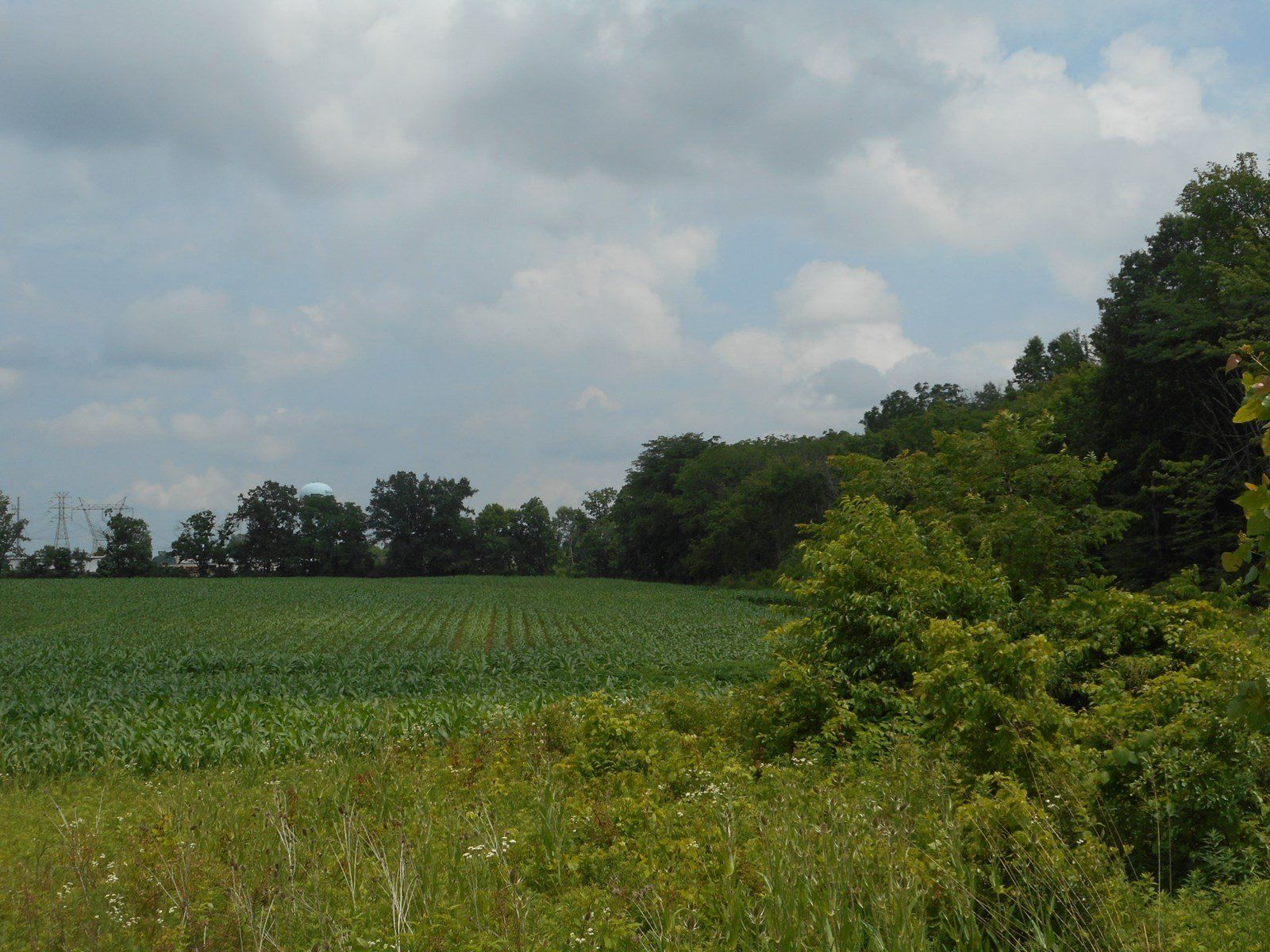 Austin Commercial Property Appraiser