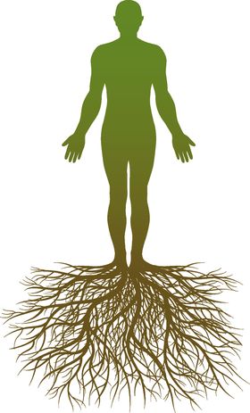 Logo Ursachenhypnose-Andreas Lau Andreas Lau Heilpraktiker Hypnosetherapeut, Ursachenhypnose