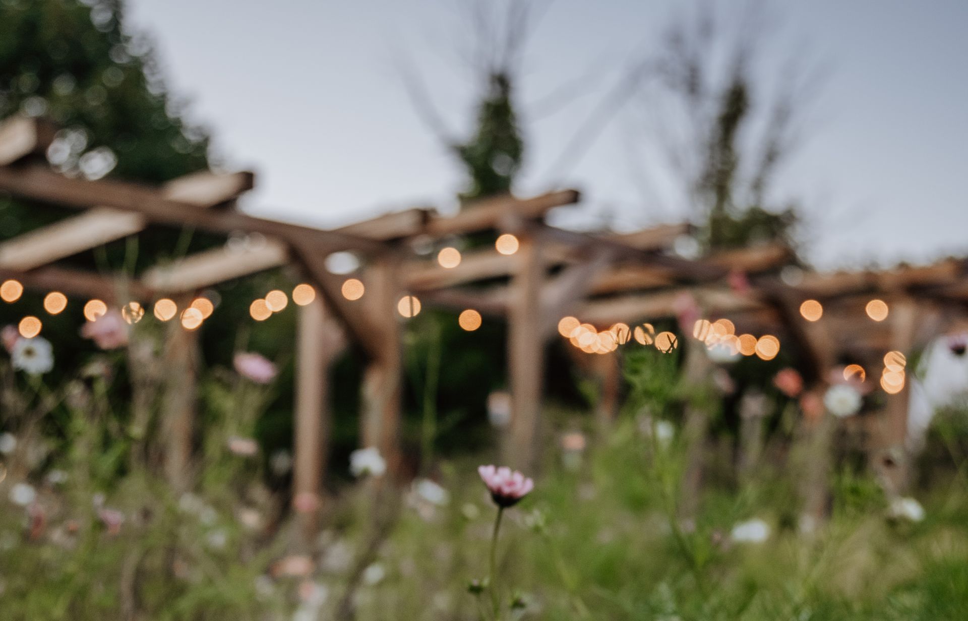 Our annual blog reflection on the victories and challenges of the 2025 growing season