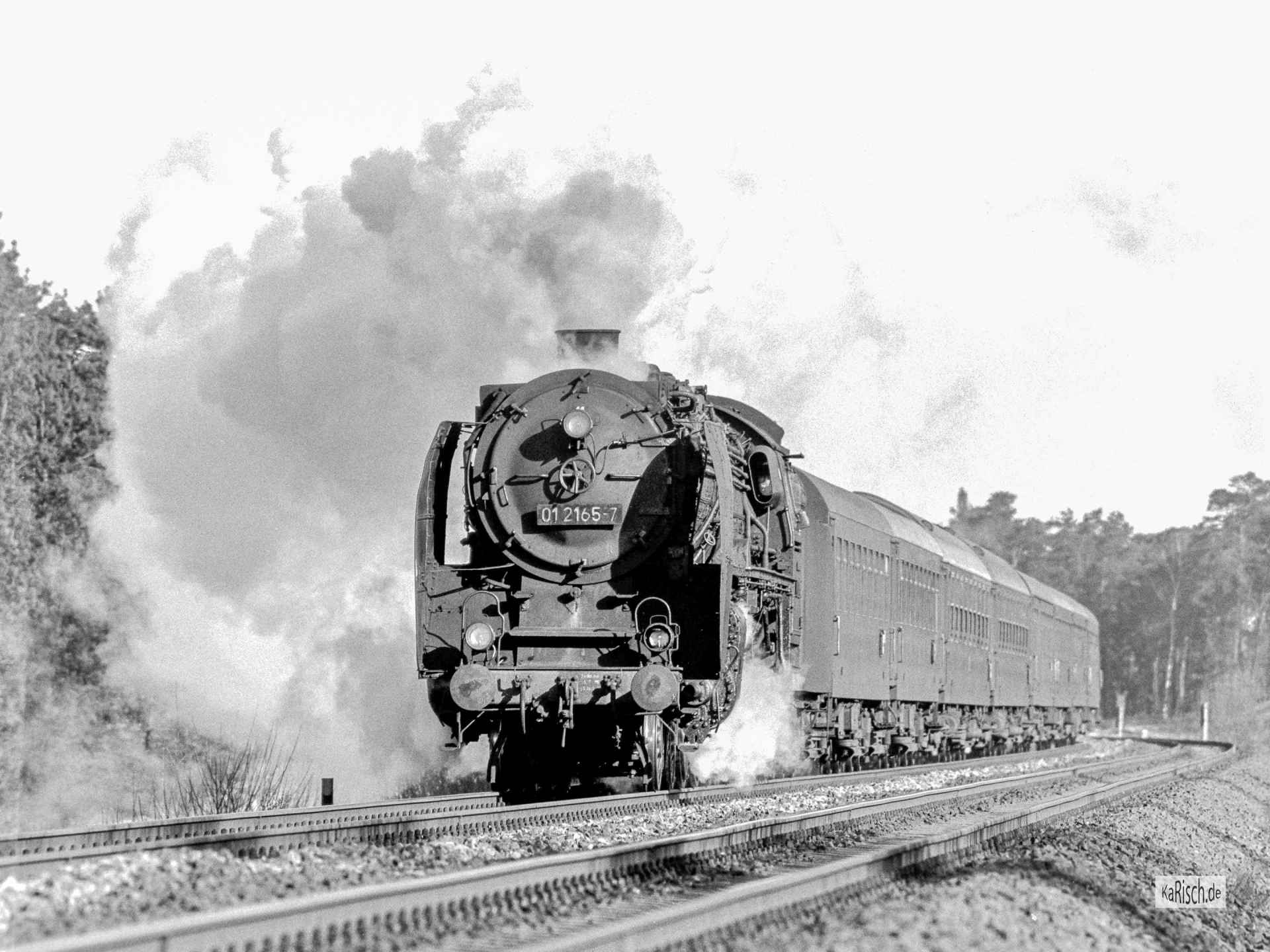 BR 01 der DR von Berlin nach Dresden, Panonia-Ex