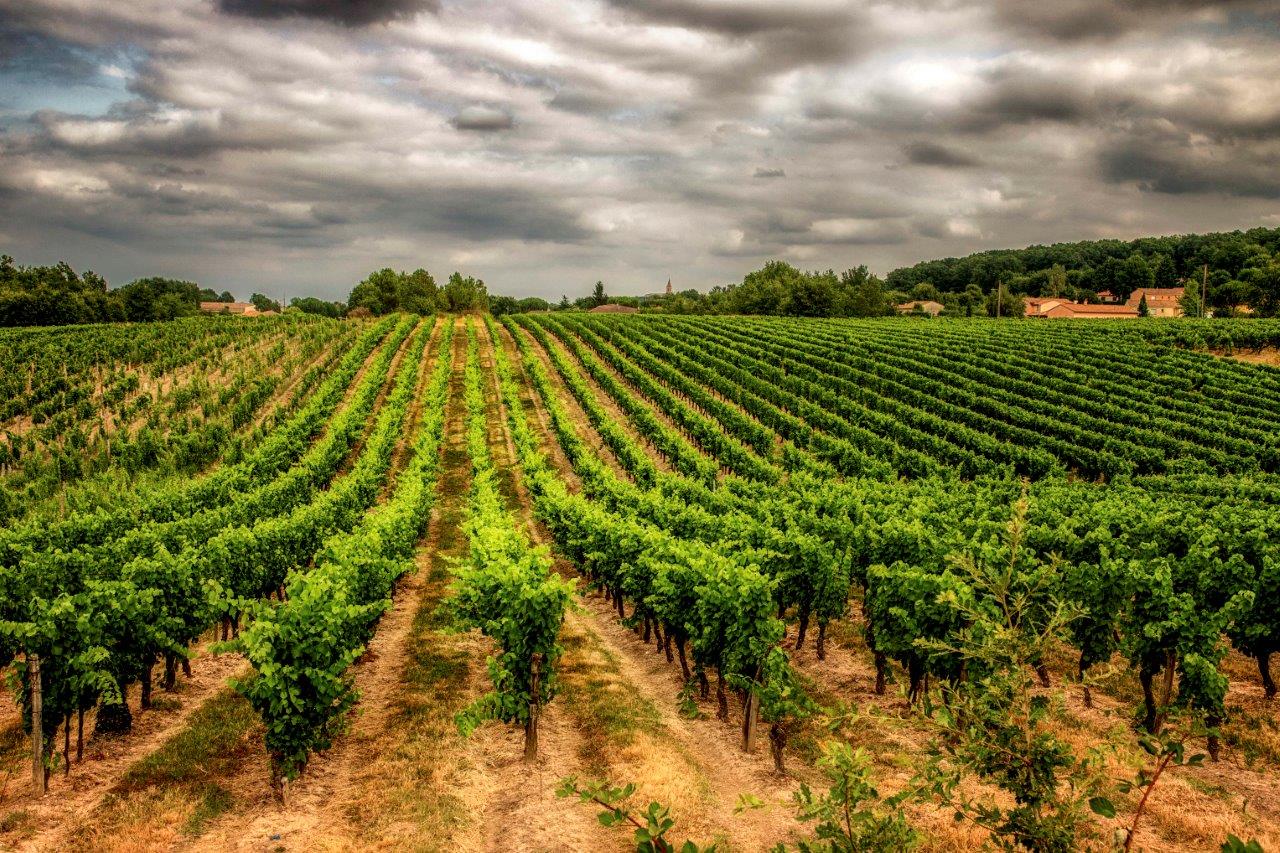 Dominique Chetcuti - 2022