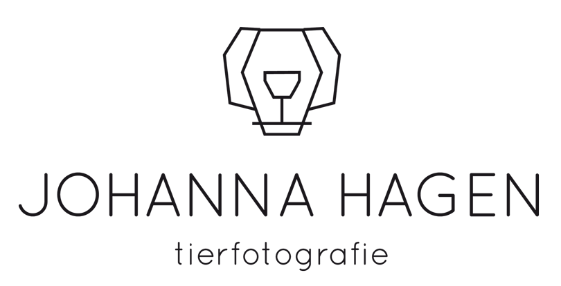 fotoshooting-mit-hund