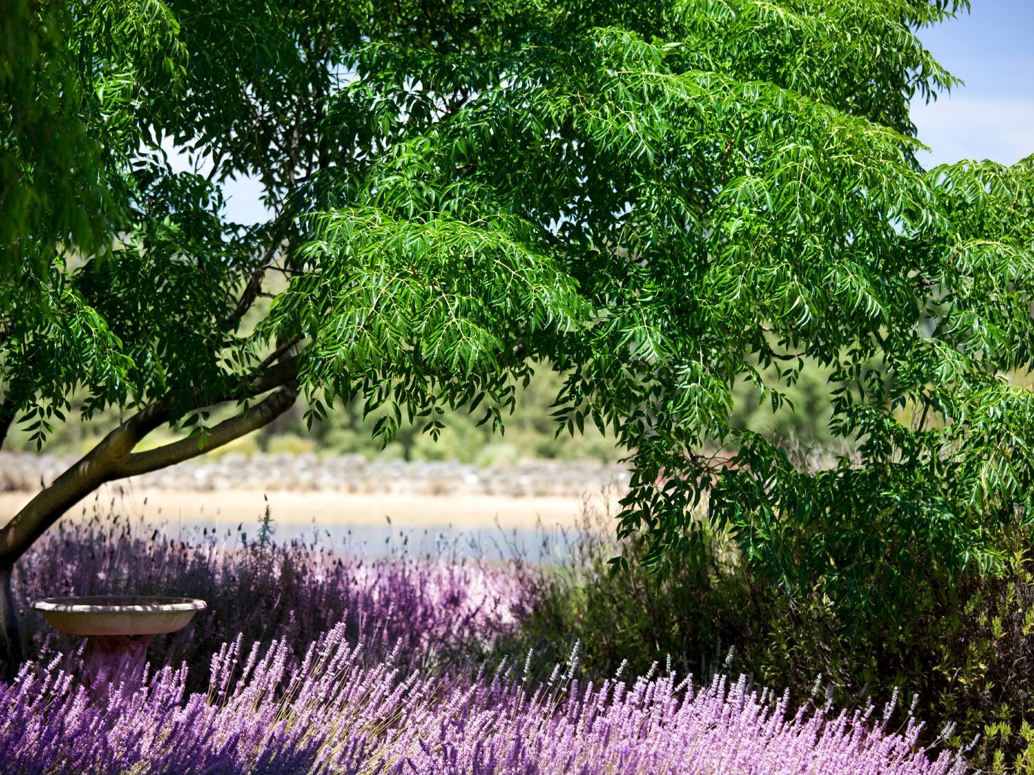 Rutas de senderismo en La Rioja paisajes