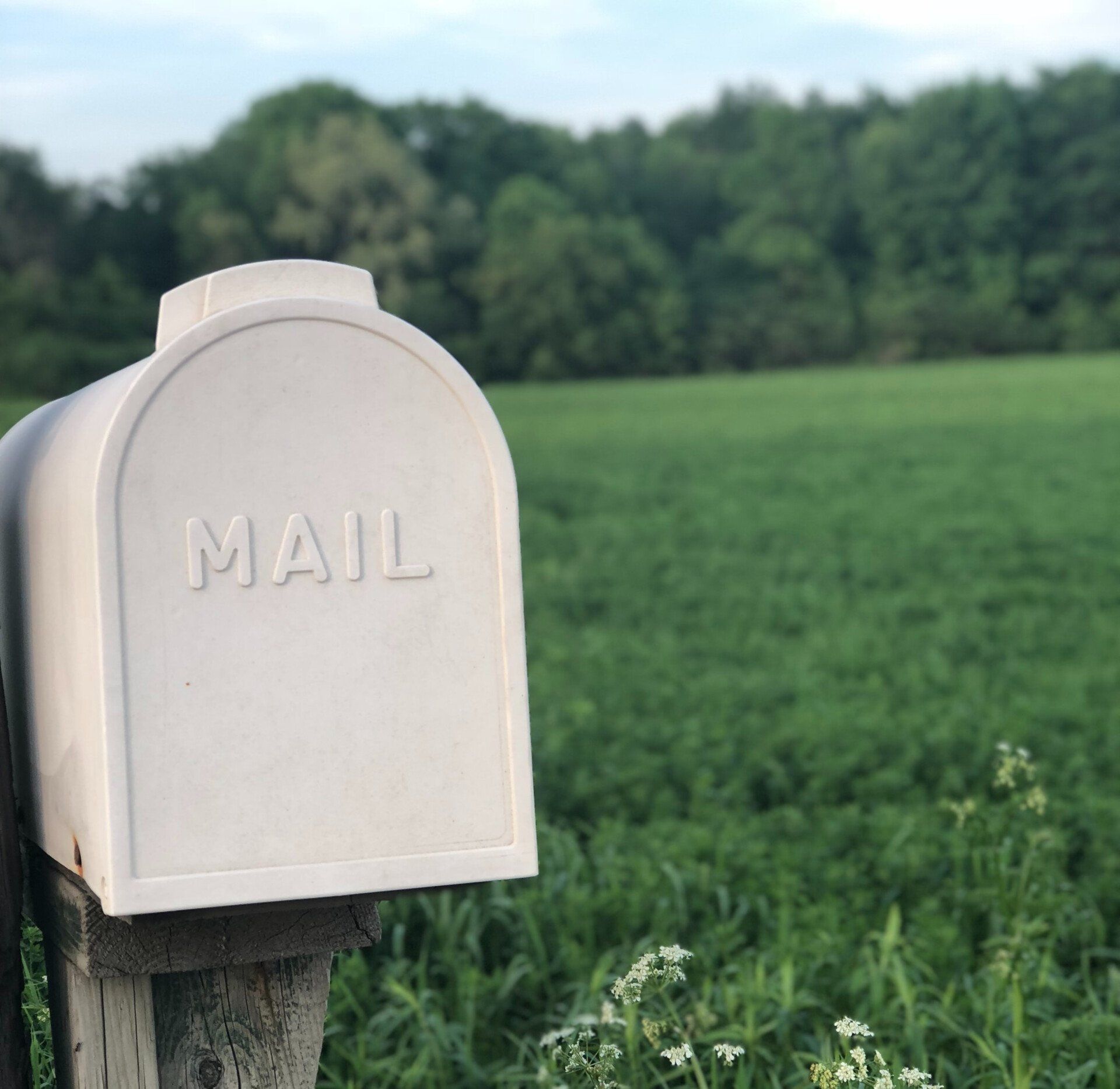 A mailbox in a field.