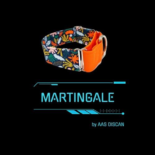 Collar Martingale Collar Martingale