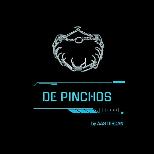 Collar de pinchos Collar de pinchos