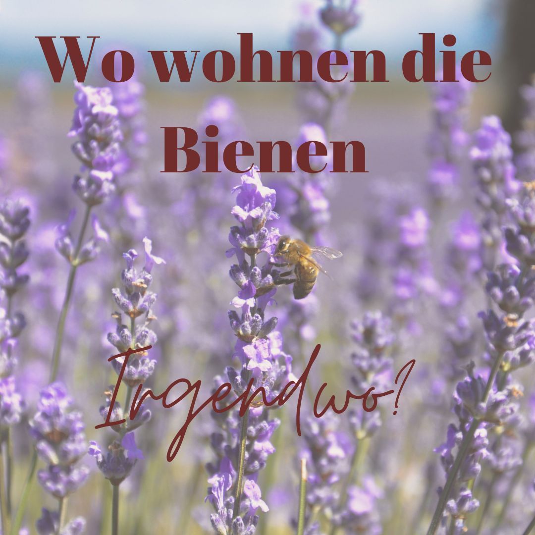 Seminar Wo wohnen die Bienen