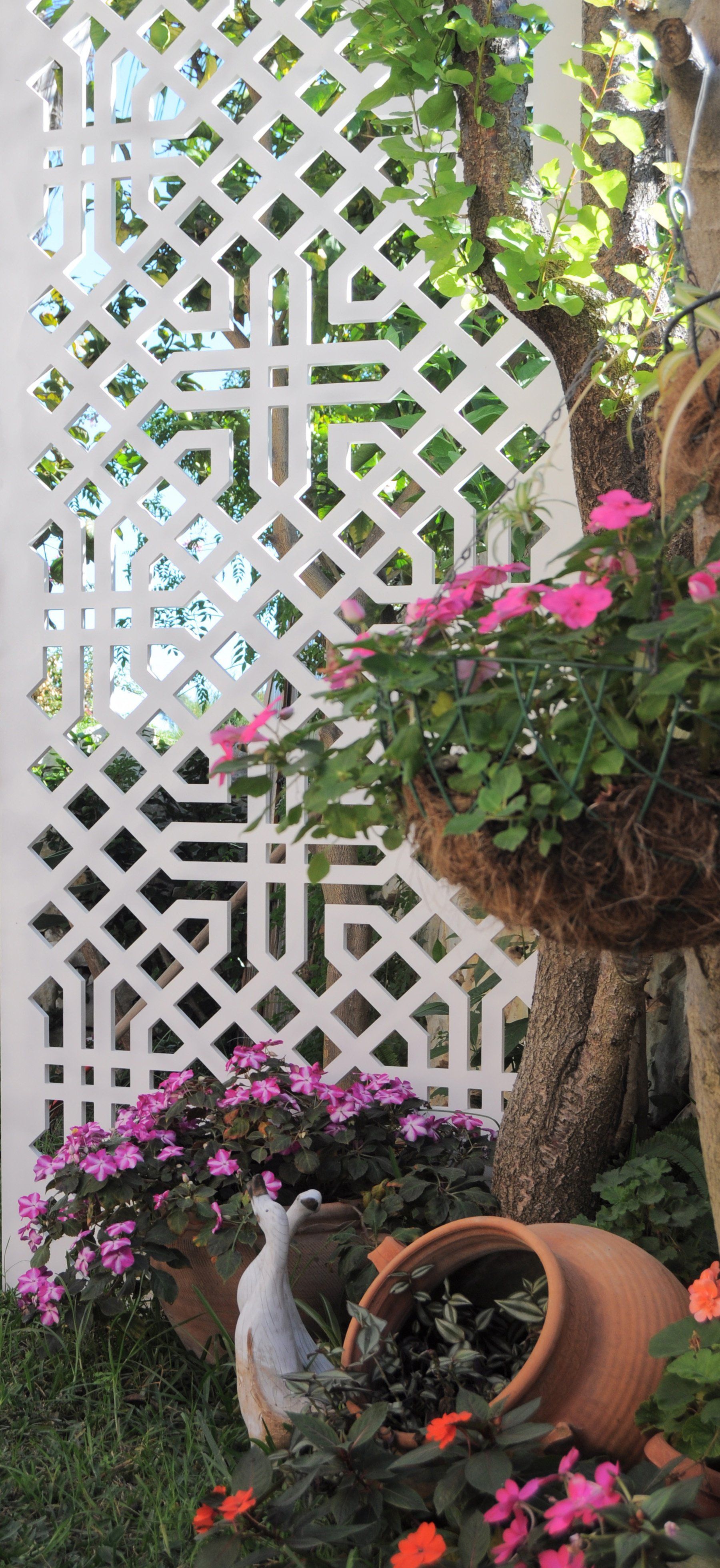 celosia pvc pergolas