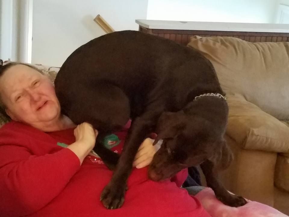 Dog climbing all over lady