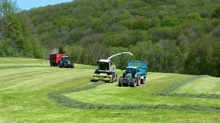 Wiese häckseln Claas Fendt