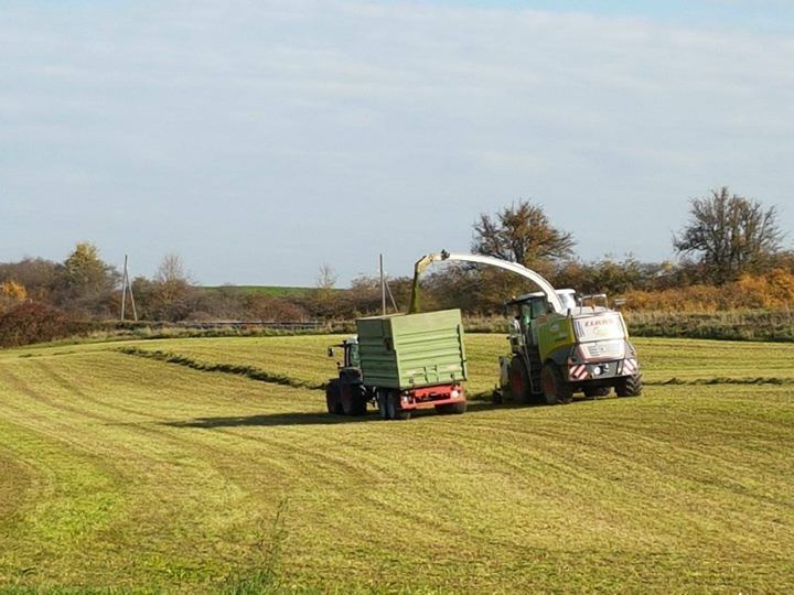 Gras häckseln