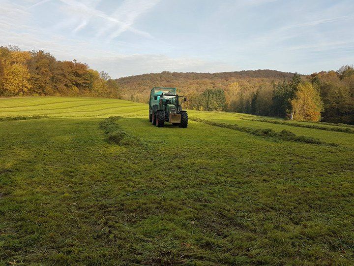 Wiese mit Tracktor