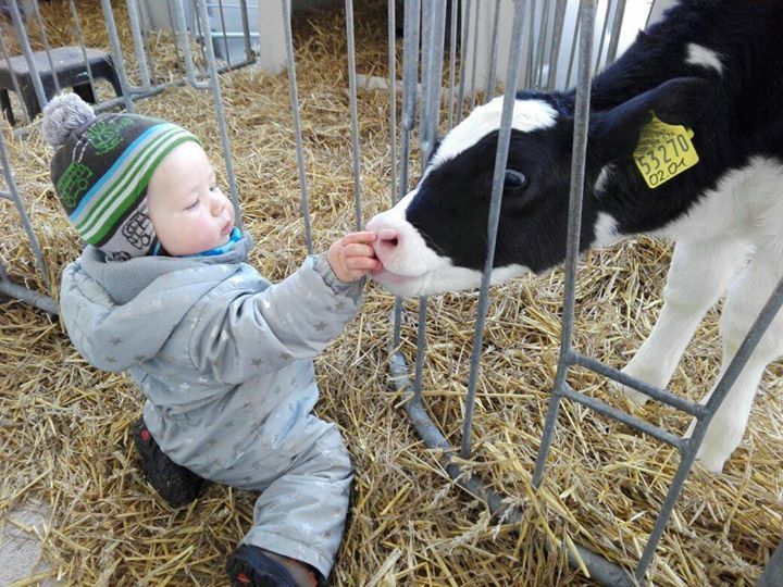 Baby und Kälbchen