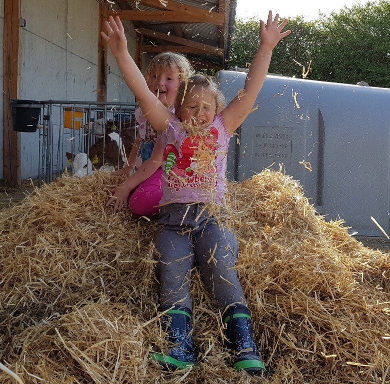 Spaß im Stroh, Farm for Kids