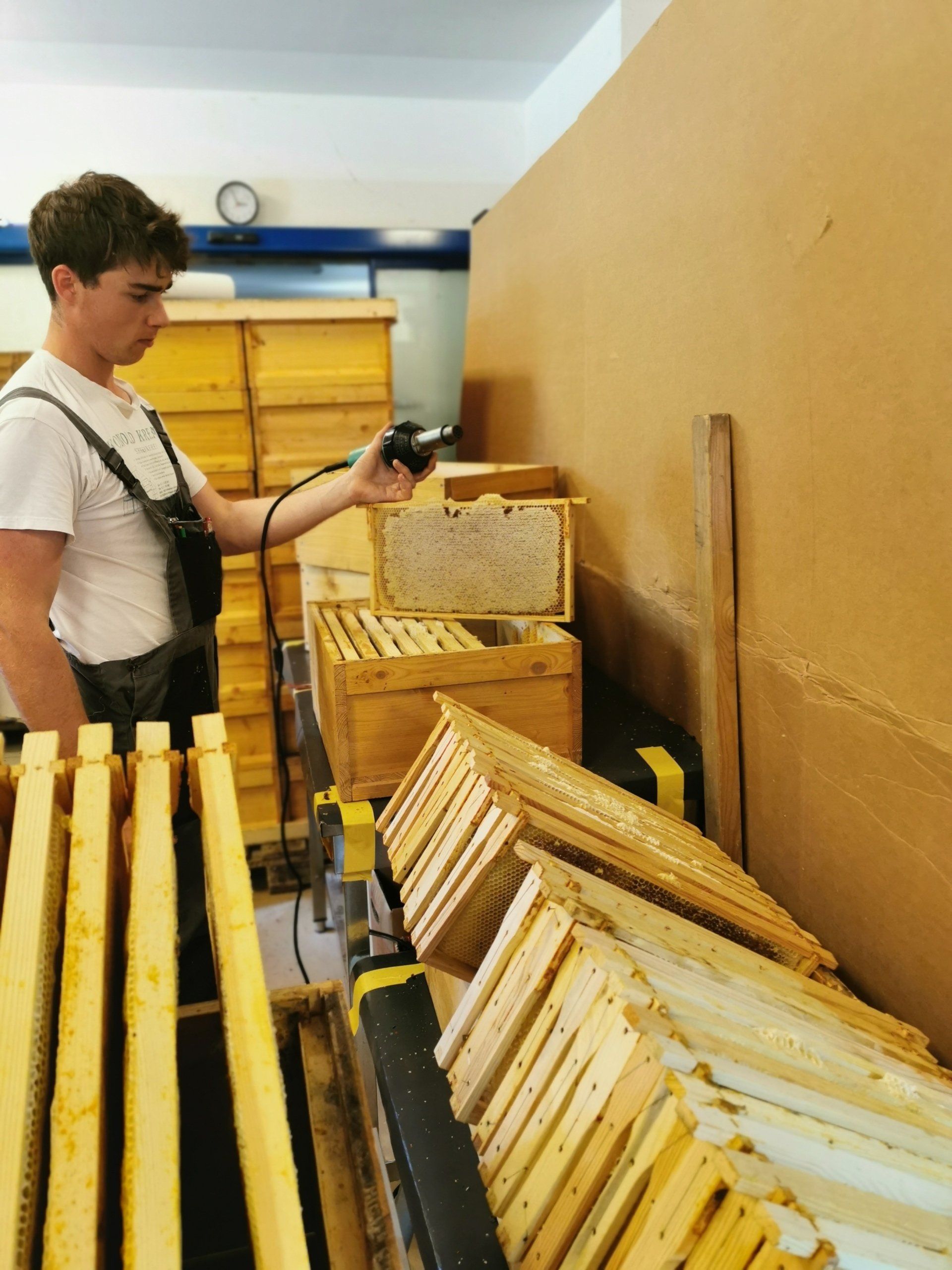 Honigwaben der Lauterbienen vor dem schleudern, entdeckeln