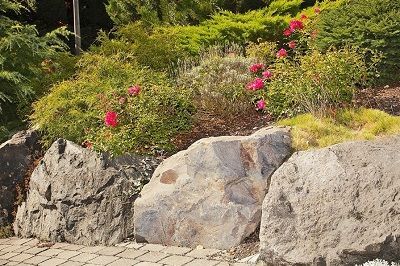 Basalt-Findlinge Basalt-Findlinge