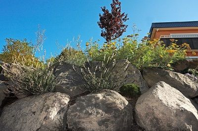 Basalt-Findlinge Basalt-Findlinge