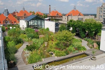 Intensive Dachbegrünung