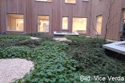 Intensive Pflanzsubstrate