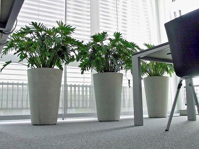 KLANZ Mineralsubstrate, Kultursubstrate KLANZ Mineralsubstrate, Kultursubstrate