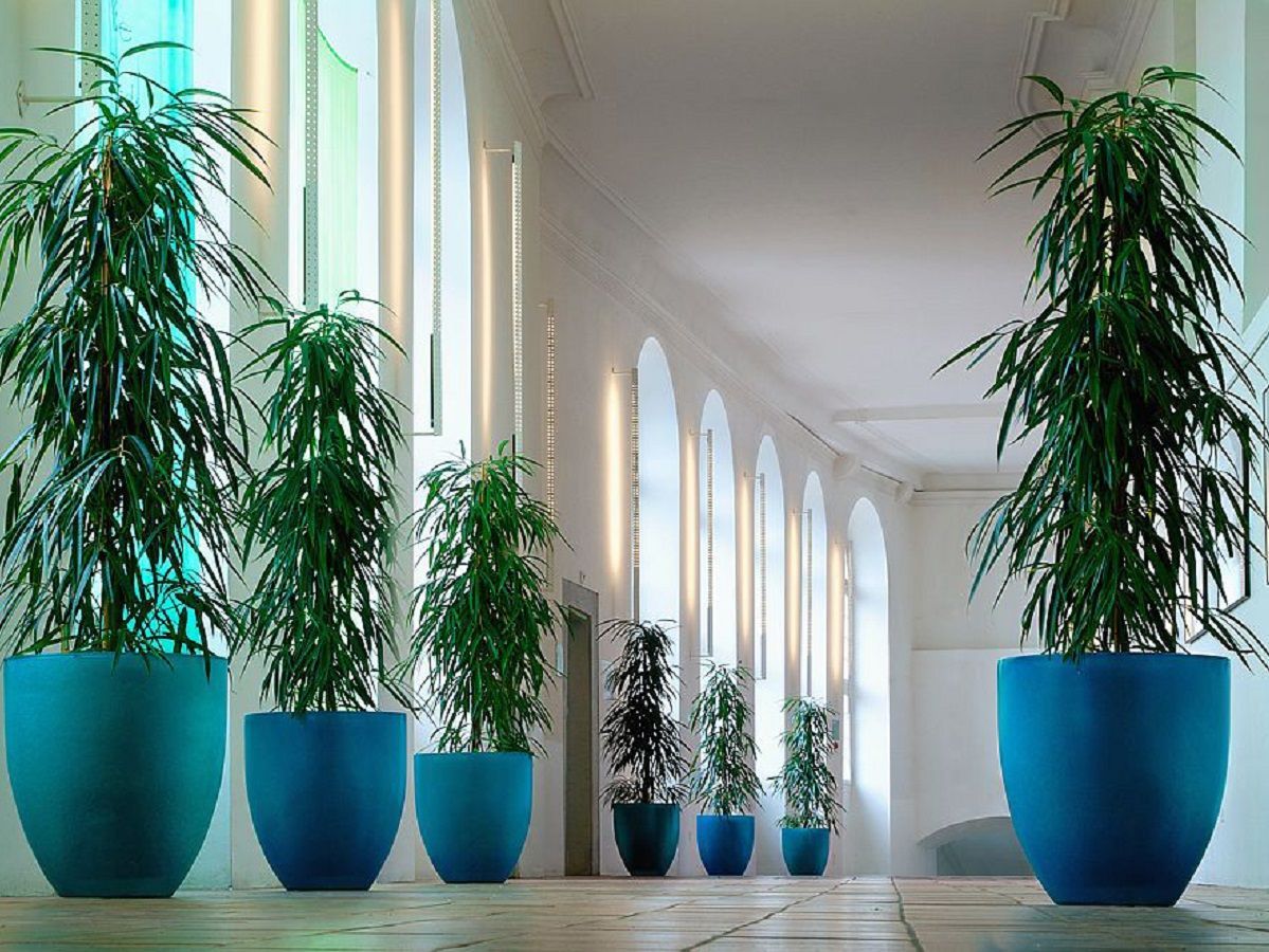 KLANZ Mineralsubstrate