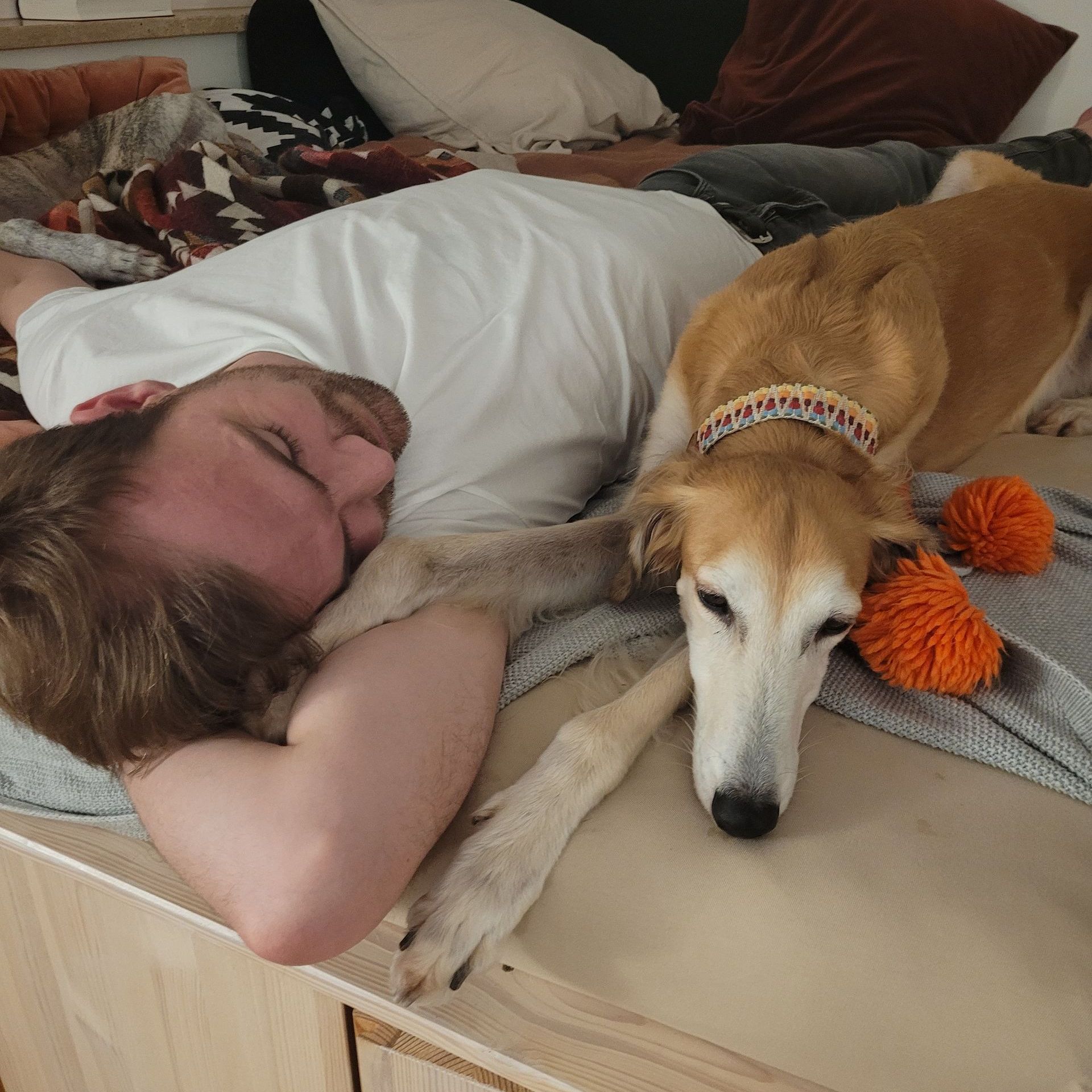 Die enge Bindung zwischen Besitzer und Hund als Basis für ganzheitliche Tiergesundheit.