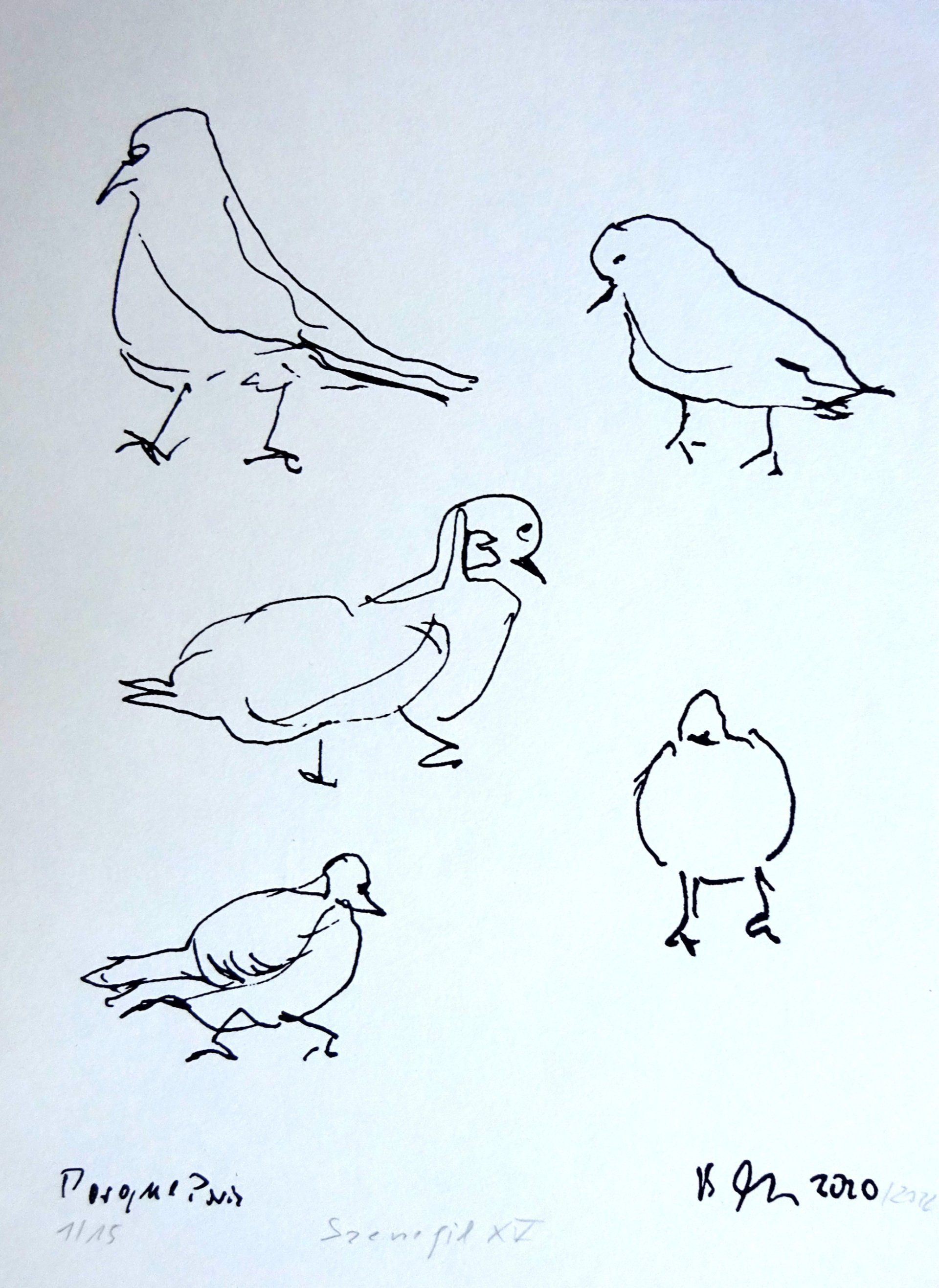 parque paris doves, silkscreen, roadmap XV-edition 15-18x24cm, handprinted on 120 gr bookprintingpaper,2022, sold out