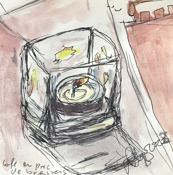 candle cafe au parc de brassens paris watercolour fineliner 10x10 cm 2023