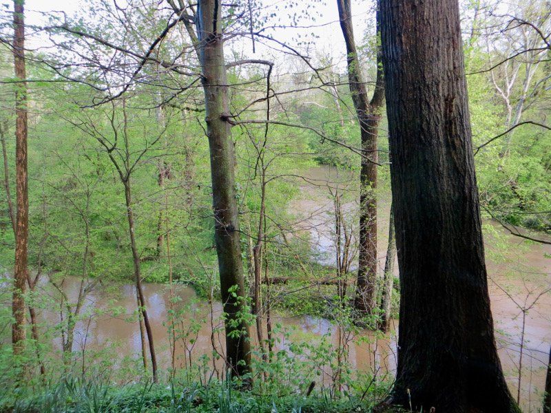 Cedar Creek during heavy spring rains (Carol Roberts)