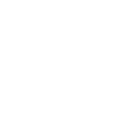 Gourmet Brownie