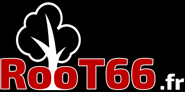 Assistance technique et informatique ROOT66