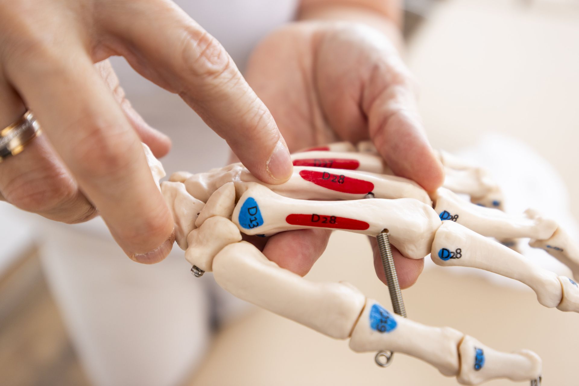 Ostheopathie im Kreis Göppingen