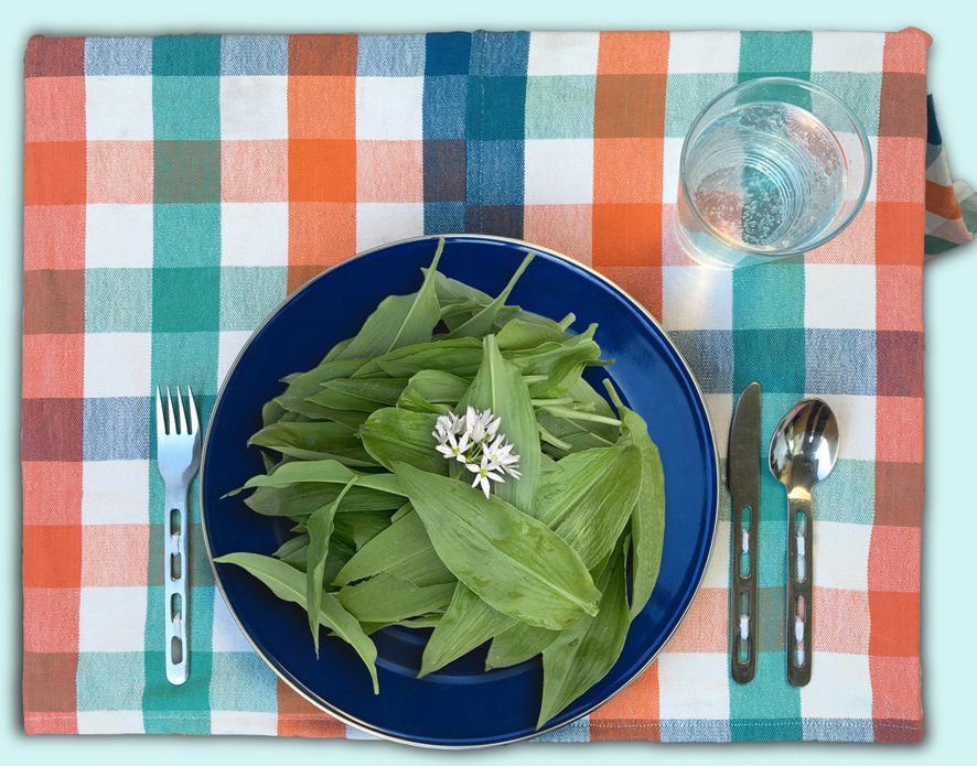 Saisonkalender Gorilla Bärlauch