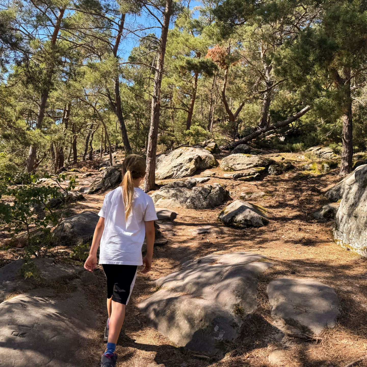 Kind wandert auf der Altenburg